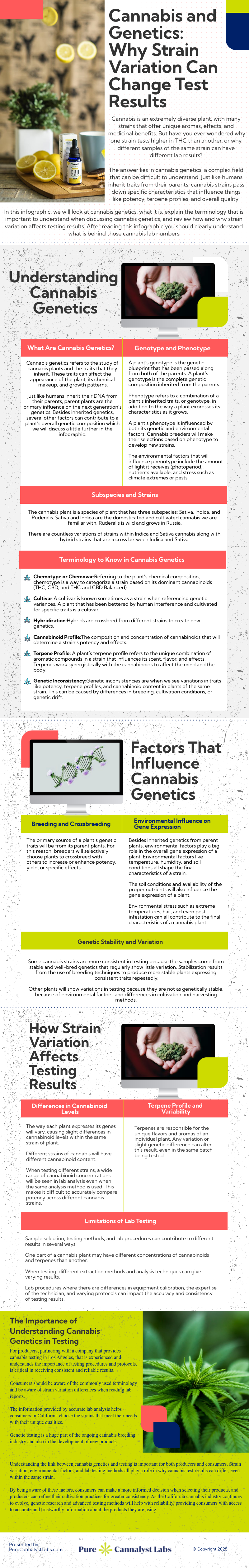 Cannabis and Genetics: Why Strain Variation Can Change Test Results