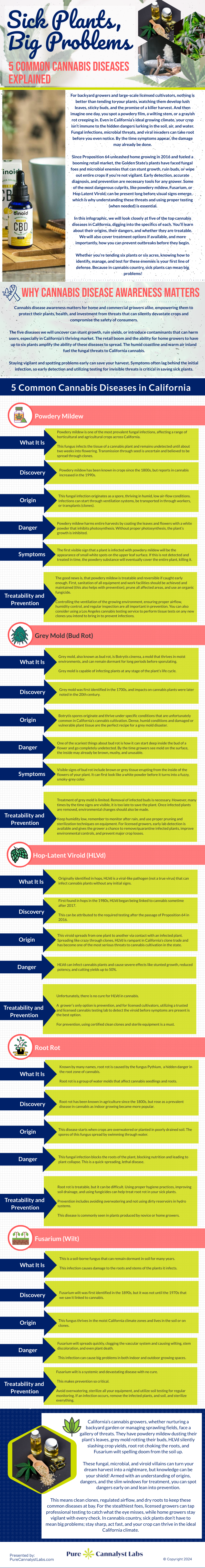 Sick Plants, Big Problems: 5 Common Cannabis Diseases Explained